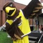 eagle_sm.jpg
